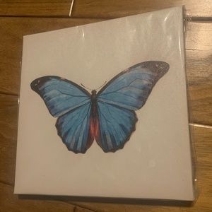 🦋 NWT Butterfly Canvas Painting Print Wall Art Home Decor Accent Nature